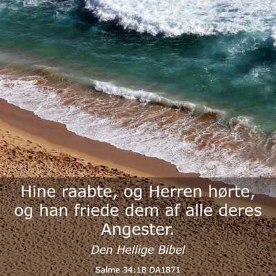 Picture 03 - Salme 34:18 DA1871 - Hine raabte, og Herren hørte, og han friede dem - Bible Verse Picture