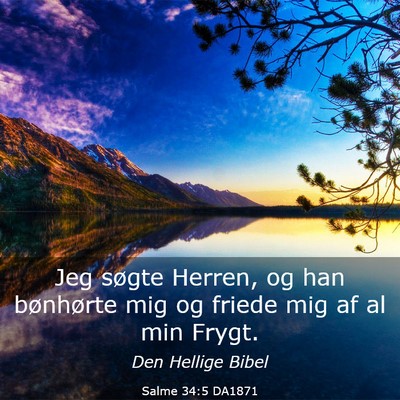 Picture 03 - Salme 34:5 DA1871 - Jeg søgte Herren, og han bønhørte mig og - Bible Verse Picture