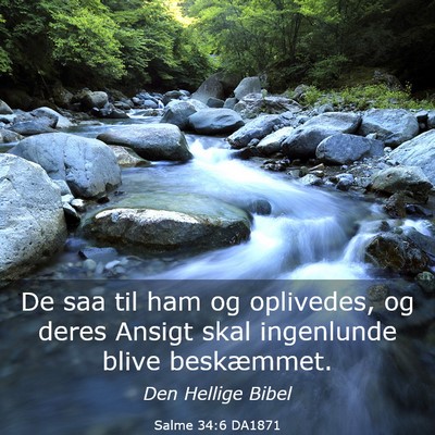 Picture 03 - Salme 34:6 DA1871 - De saa til ham og oplivedes, og deres Ansigt skal - Bible Verse Picture