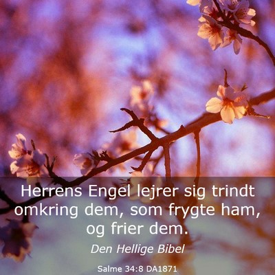 Picture 03 - Salme 34:8 DA1871 - Herrens Engel lejrer sig trindt omkring dem, som - Bible Verse Picture