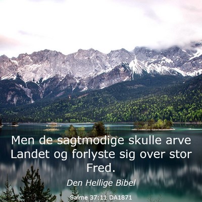 Picture 03 - Salme 37:11 DA1871 - Men de sagtmodige skulle arve Landet og forlyste - Bible Verse Picture