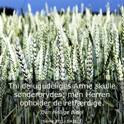 Picture 03 - Salme 37:17 DA1871 - Thi de ugudeliges Arme skulle sønderbrydes; men - Bible Verse Picture