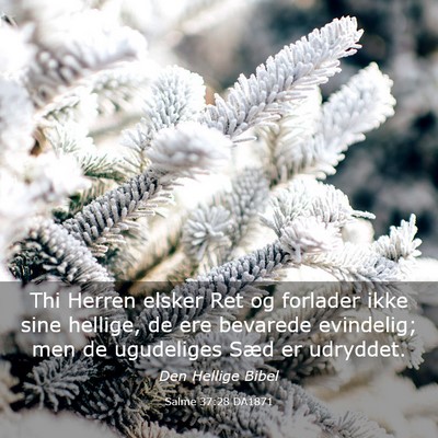 Picture 03 - Salme 37:28 DA1871 - Thi Herren elsker Ret og forlader ikke sine - Bible Verse Picture