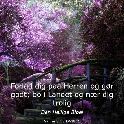 Picture 03 - Salme 37:3 DA1871 - Forlad dig paa Herren og gør godt; bo i Landet - Bible Verse Picture
