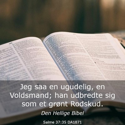 Picture 03 - Salme 37:35 DA1871 - Jeg saa en ugudelig, en Voldsmand; han udbredte - Bible Verse Picture