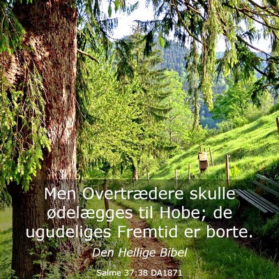 Picture 03 - Salme 37:38 DA1871 - Men Overtrædere skulle ødelægges til Hobe; de - Bible Verse Picture