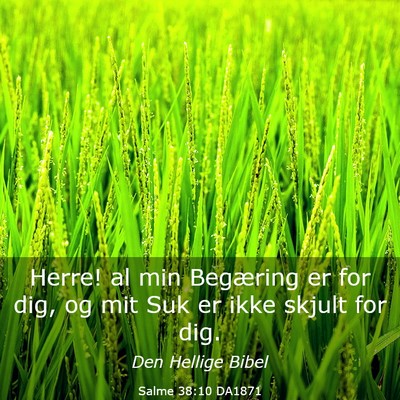Picture 03 - Salme 38:10 DA1871 - Herre! al min Begæring er for dig, og mit Suk er - Bible Verse Picture