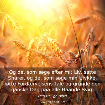 Picture 03 - Salme 38:13 DA1871 - Og de, som søge efter mit Liv, satte Snarer, og - Bible Verse Picture