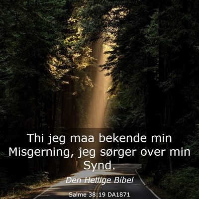 Picture 03 - Salme 38:19 DA1871 - Thi jeg maa bekende min Misgerning, jeg sørger - Bible Verse Picture