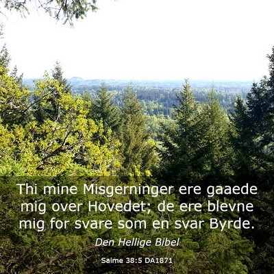 Picture 03 - Salme 38:5 DA1871 - Thi mine Misgerninger ere gaaede mig over - Bible Verse Picture