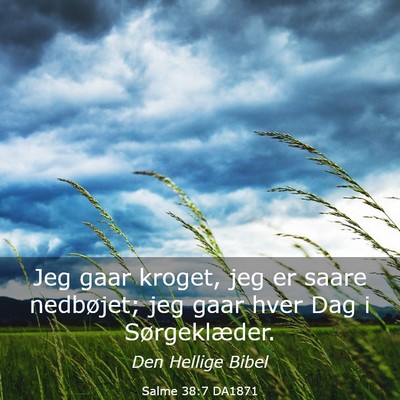 Picture 03 - Salme 38:7 DA1871 - Jeg gaar kroget, jeg er saare nedbøjet; jeg gaar - Bible Verse Picture