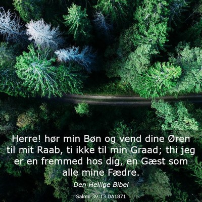 Picture 03 - Salme 39:13 DA1871 - Herre! hør min Bøn og vend dine Øren til mit - Bible Verse Picture