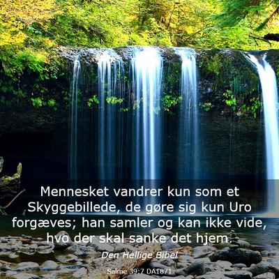 Picture 03 - Salme 39:7 DA1871 - Mennesket vandrer kun som et Skyggebillede, de - Bible Verse Picture