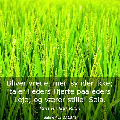Picture 03 - Salme 4:5 DA1871 - Bliver vrede, men synder ikke; taler i eders - Bible Verse Picture
