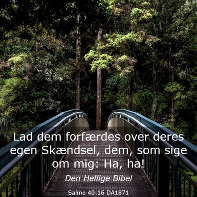 Picture 03 - Salme 40:16 DA1871 - Lad dem forfærdes over deres egen Skændsel, - Bible Verse Picture