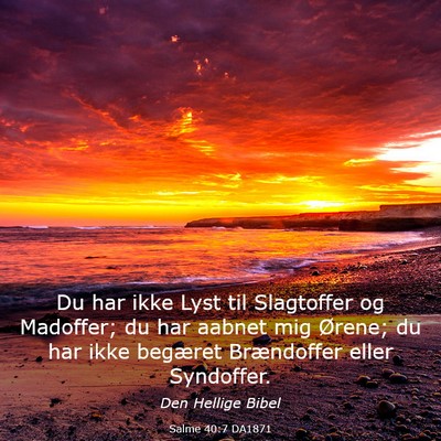 Picture 03 - Salme 40:7 DA1871 - Du har ikke Lyst til Slagtoffer og Madoffer; du - Bible Verse Picture