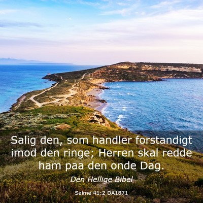 Picture 03 - Salme 41:2 DA1871 - Salig den, som handler forstandigt imod den - Bible Verse Picture