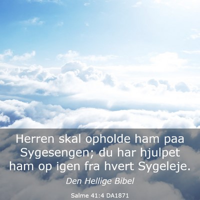 Picture 03 - Salme 41:4 DA1871 - Herren skal opholde ham paa Sygesengen; du har - Bible Verse Picture