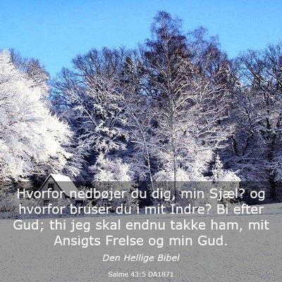 Picture 03 - Salme 43:5 DA1871 - Hvorfor nedbøjer du dig, min Sjæl? og hvorfor - Bible Verse Picture