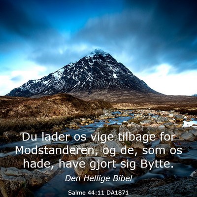 Picture 03 - Salme 44:11 DA1871 - Du lader os vige tilbage for Modstanderen, og de, - Bible Verse Picture