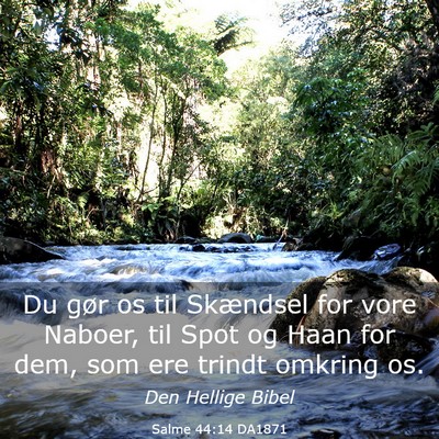 Picture 03 - Salme 44:14 DA1871 - Du gør os til Skændsel for vore Naboer, til - Bible Verse Picture