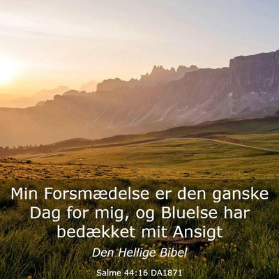 Picture 03 - Salme 44:16 DA1871 - Min Forsmædelse er den ganske Dag for mig, og - Bible Verse Picture