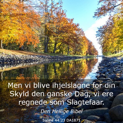 Picture 03 - Salme 44:23 DA1871 - Men vi blive ihjelslagne for din Skyld den ganske - Bible Verse Picture