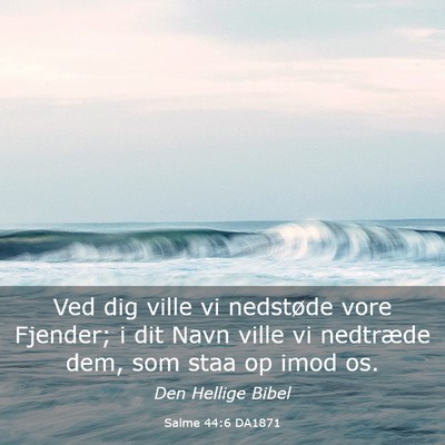 Picture 03 - Salme 44:6 DA1871 - Ved dig ville vi nedstøde vore Fjender; i dit - Bible Verse Picture