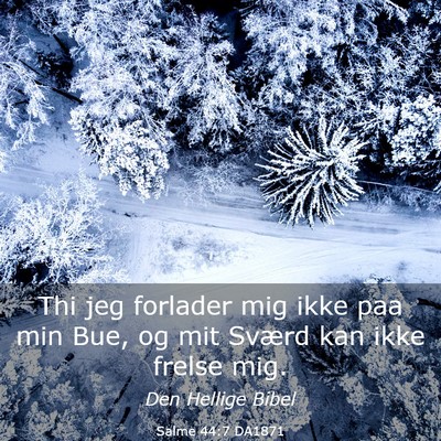 Picture 03 - Salme 44:7 DA1871 - Thi jeg forlader mig ikke paa min Bue, og mit - Bible Verse Picture