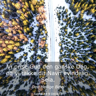 Picture 03 - Salme 44:9 DA1871 - Vi prise Gud den ganske Dag, og vi takke dit Navn - Bible Verse Picture