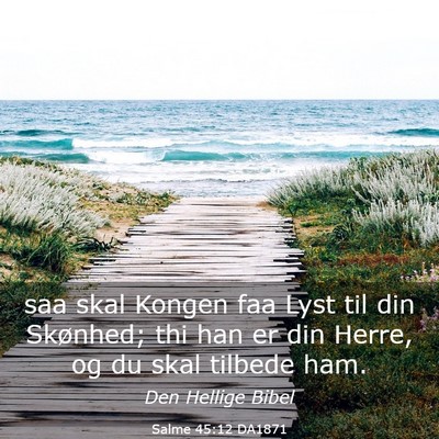 Picture 03 - Salme 45:12 DA1871 - saa skal Kongen faa Lyst til din Skønhed; thi - Bible Verse Picture