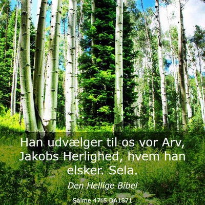 Picture 03 - Salme 47:5 DA1871 - Han udvælger til os vor Arv, Jakobs Herlighed, - Bible Verse Picture