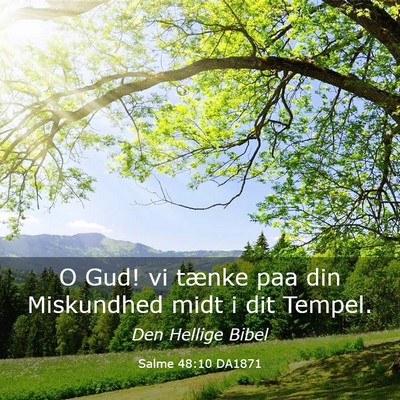 Picture 03 - Salme 48:10 DA1871 - O Gud! vi tænke paa din Miskundhed midt i dit - Bible Verse Picture