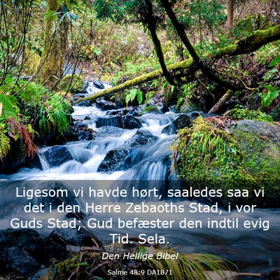Picture 03 - Salme 48:9 DA1871 - Ligesom vi havde hørt, saaledes saa vi det i den - Bible Verse Picture