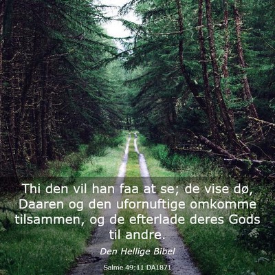 Picture 03 - Salme 49:11 DA1871 - Thi den vil han faa at se; de vise dø, Daaren og - Bible Verse Picture