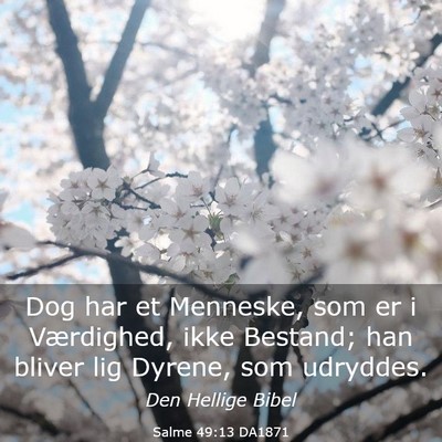 Picture 03 - Salme 49:13 DA1871 - Dog har et Menneske, som er i Værdighed, ikke - Bible Verse Picture