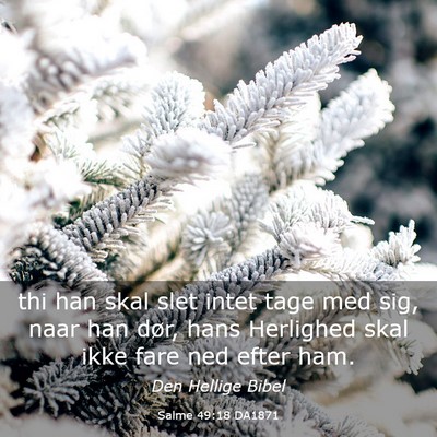 Picture 03 - Salme 49:18 DA1871 - thi han skal slet intet tage med sig, naar han - Bible Verse Picture