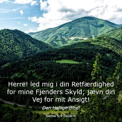 Picture 03 - Salme 5:9 DA1871 - Herre! led mig i din Retfærdighed for mine - Bible Verse Picture