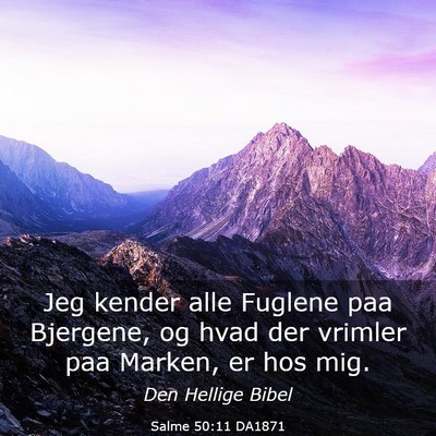 Picture 03 - Salme 50:11 DA1871 - Jeg kender alle Fuglene paa Bjergene, og hvad der - Bible Verse Picture