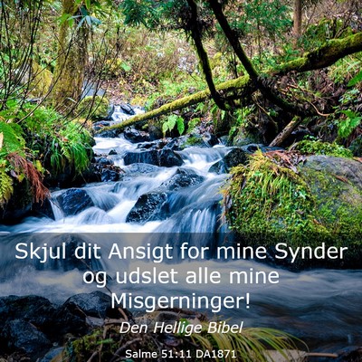 Picture 03 - Salme 51:11 DA1871 - Skjul dit Ansigt for mine Synder og udslet alle - Bible Verse Picture