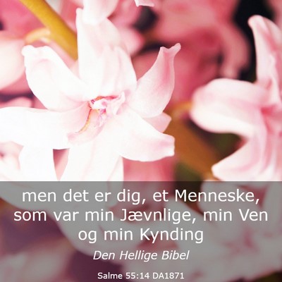 Picture 03 - Salme 55:14 DA1871 - men det er dig, et Menneske, som var min - Bible Verse Picture