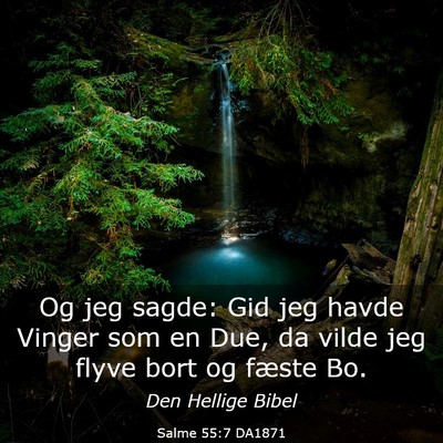 Picture 03 - Salme 55:7 DA1871 - Og jeg sagde: Gid jeg havde Vinger som en Due, da - Bible Verse Picture
