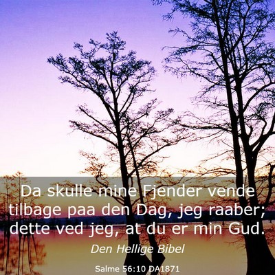 Picture 03 - Salme 56:10 DA1871 - Da skulle mine Fjender vende tilbage paa den Dag, - Bible Verse Picture