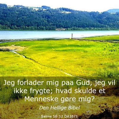 Picture 03 - Salme 56:12 DA1871 - Jeg forlader mig paa Gud, jeg vil ikke frygte; - Bible Verse Picture