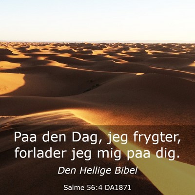 Picture 03 - Salme 56:4 DA1871 - Paa den Dag, jeg frygter, forlader jeg mig paa - Bible Verse Picture