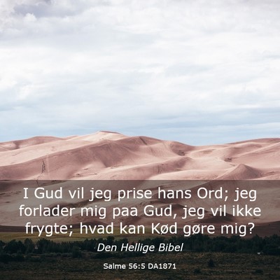 Picture 03 - Salme 56:5 DA1871 - I Gud vil jeg prise hans Ord; jeg forlader mig - Bible Verse Picture