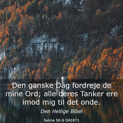 Picture 03 - Salme 56:6 DA1871 - Den ganske Dag fordreje de mine Ord; alle deres - Bible Verse Picture