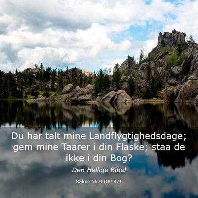 Picture 03 - Salme 56:9 DA1871 - Du har talt mine Landflygtighedsdage; gem mine - Bible Verse Picture
