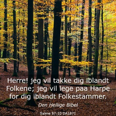 Picture 03 - Salme 57:10 DA1871 - Herre! jeg vil takke dig iblandt Folkene; jeg vil - Bible Verse Picture