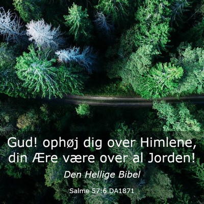 Picture 03 - Salme 57:6 DA1871 - Gud! ophøj dig over Himlene, din Ære være over - Bible Verse Picture